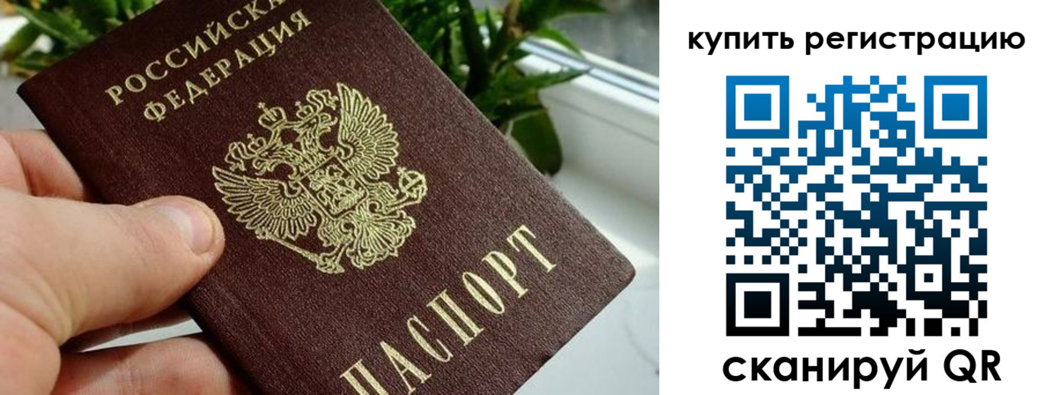 прописка гарантия в Заринске