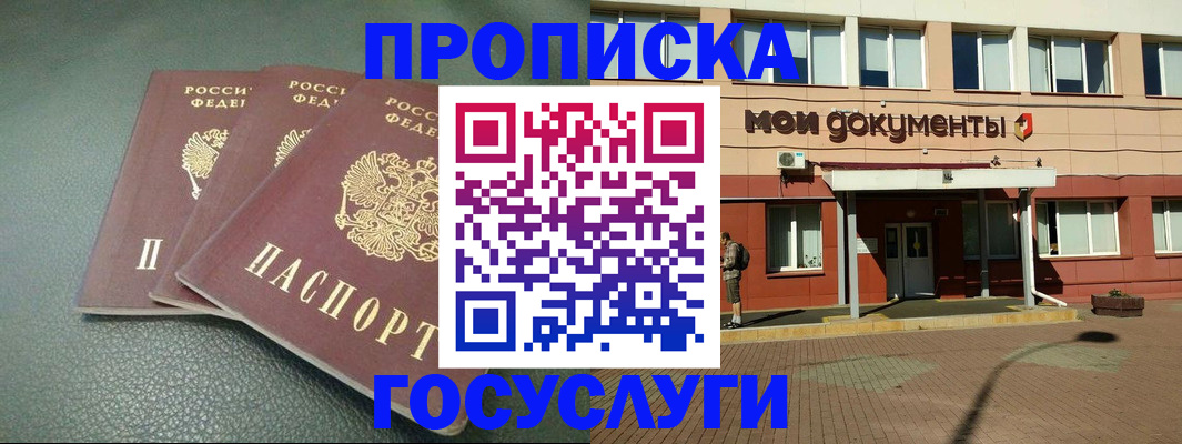 временная регистрация надежно в Заринске